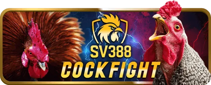 Ưu đãi sự kiện Bongda88