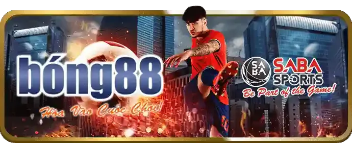 Hỗ trợ kỹ thuật bongda88 khắc phục sự cố
